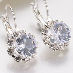 champion color Lever Back Earrings